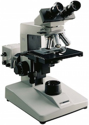 Dunkelfeld-Blutdiagnose mit einem speziellen Dunkelfeld-Mikroskop
